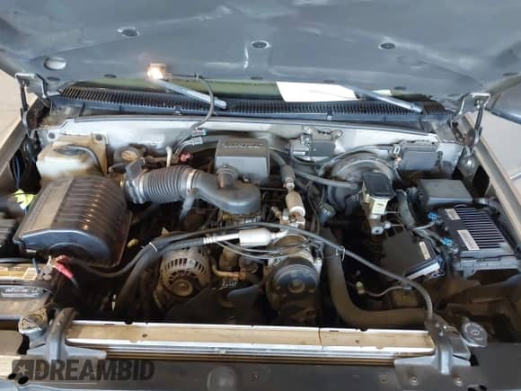 1999 Chevrolet Tahoe Z71 z VIN 1GNEK13R2XJ431421, wystawiony jako IAAI lot #42374646 z przebiegiem 282 894 mil mil oraz . Historia ofert i sprzedaży dostępna na DreamBid. Obrazek 10.