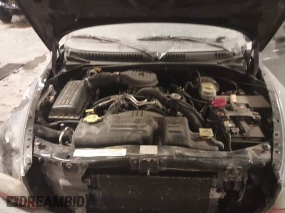 2003 Dodge Dakota Sport with VIN 1D7HG38X53S235378, listed as a IAAI auction lot 41400147 with 112,707 mi miles and . Bid and sale history available at DreamBid. Image 10.