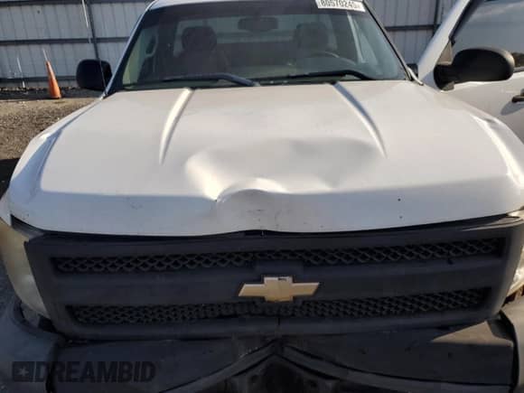 2007 Chevrolet Silverado 1500 Work Truck with VIN 1GCEC14X57Z619709, listed as a Copart auction lot 80570245 with 301,931 mi miles and Clean title. Bid and sale history available at DreamBid. Image 11.