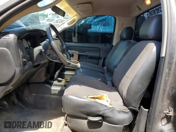 2002 Dodge 1500 z VIN 1D7HA16K92J248300, wystawiony jako Copart lot #60234255 z przebiegiem 236 499 mil mil oraz Szkoda całkowita • Salvage title. Historia ofert i sprzedaży dostępna na DreamBid. Obrazek 7.