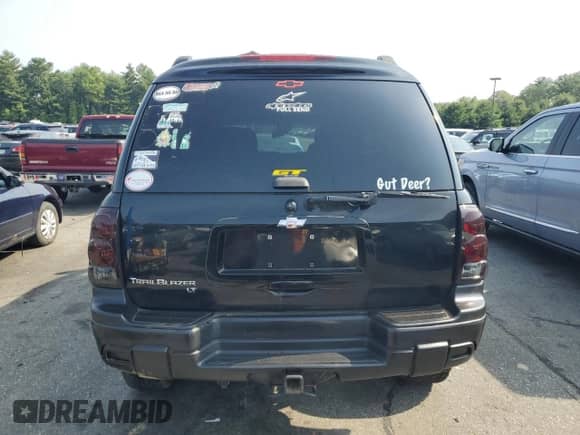 2005 Chevrolet TrailBlazer LT with VIN 1GNET16S256190469, listed as a Copart auction lot 61998485 with 216,435 mi miles and Salvage title. Bid and sale history available at DreamBid. Image 6.