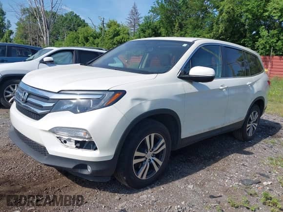 2017 Honda Pilot EX-L with VIN 5FNYF6H75HB081239, listed as a IAAI auction lot 42562518 with Not provided miles and . Bid and sale history available at DreamBid. Image 19.