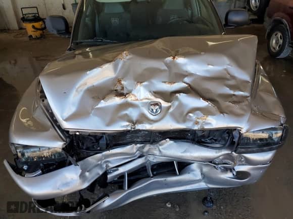 1999 Dodge Durango with VIN 1B4HS28Z4XF587478, listed as a Copart auction lot 84625175 with 250,989 mi miles and Salvage title. Bid and sale history available at DreamBid. Image 12.
