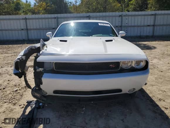 2011 Dodge Challenger R/T with VIN 2B3CJ5DT0BH571001, listed as a Copart auction lot 87381415 with 161,687 mi miles and Salvage title. Bid and sale history available at DreamBid. Image 5.
