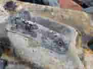 2006 Ford F-150 STX с VIN 1FTRX12W26NB48947, выставлен на аукционе IAAI как лот 43443122 с пробегом Не указан миль и . История ставок и продаж доступна на DreamBid. Изображение 9.