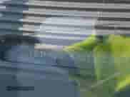 2007 Dodge Caliber with VIN 1B3HB28C67D157236, listed as a IAAI auction lot 42406217 with 214,233 mi miles and . Bid and sale history available at DreamBid. Image 9.