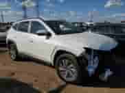 2022 Hyundai Tucson Blue with VIN KM8JBCA17NU020149, listed as a Copart auction lot 83856095 with 81,788 mi miles and Salvage title. Bid and sale history available at DreamBid. Image 4.