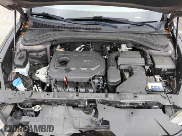 2020 Hyundai Santa Fe SEL с VIN 5NMS33AD3LH231191, выставлен на аукционе Copart как лот 84416045 с пробегом 48 718 миль миль и Списание • Salvage title. История ставок и продаж доступна на DreamBid. Изображение 12.