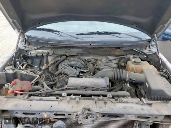 2012 Ford F-150 XL z VIN 1FTEW1CM4CFB08700, wystawiony jako Copart lot #65448215 z przebiegiem Nie podano mil oraz Czysty tytuł • Clean title. Historia ofert i sprzedaży dostępna na DreamBid. Obrazek 11.