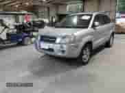 2007 Hyundai Tucson SE z VIN KM8JN12D47U485785, wystawiony jako IAAI lot #43306100 z przebiegiem 179 960 mil mil oraz . Historia ofert i sprzedaży dostępna na DreamBid. Obrazek 2.