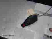 2019 Ram 1500 Big Horn z VIN 1C6RR7LT3KS641539, wystawiony jako IAAI lot #42103708 z przebiegiem 33 706 mil mil oraz . Historia ofert i sprzedaży dostępna na DreamBid. Obrazek 11.