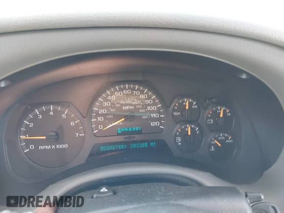 2002 Chevrolet TrailBlazer LS z VIN 1GNDT13S722423460, wystawiony jako IAAI lot #41401201 z przebiegiem 203 385 mil mil oraz . Historia ofert i sprzedaży dostępna na DreamBid. Obrazek 7.