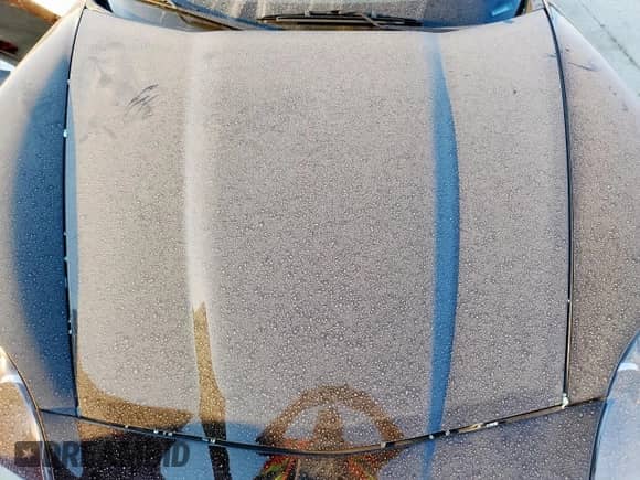 2010 Chevrolet Corvette 2LT z VIN 1G1YF2DW5A5108090, wystawiony jako Copart lot #69429215 z przebiegiem 18 994 mil mil oraz Szkoda całkowita • Salvage title. Historia ofert i sprzedaży dostępna na DreamBid. Obrazek 11.