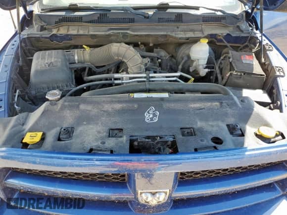 2010 Dodge 1500 SLT with VIN 1D7RB1CT9AS111770, listed as a Copart auction lot 69801945 with 162,812 mi miles and Salvage title. Bid and sale history available at DreamBid. Image 11.