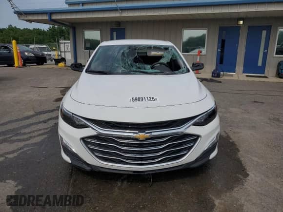 2023 Chevrolet Malibu LS with VIN 1G1ZB5ST1PF251518, listed as a Copart auction lot 59891125 with 48,745 mi miles and Salvage title. Bid and sale history available at DreamBid. Image 5.
