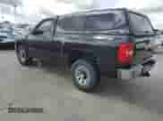 2009 Chevrolet Silverado 1500 Work Truck with VIN 1GCEC14C19Z239282, listed as a Copart auction lot 74714994 with Not provided miles and Salvage title. Bid and sale history available at DreamBid. Image 2.
