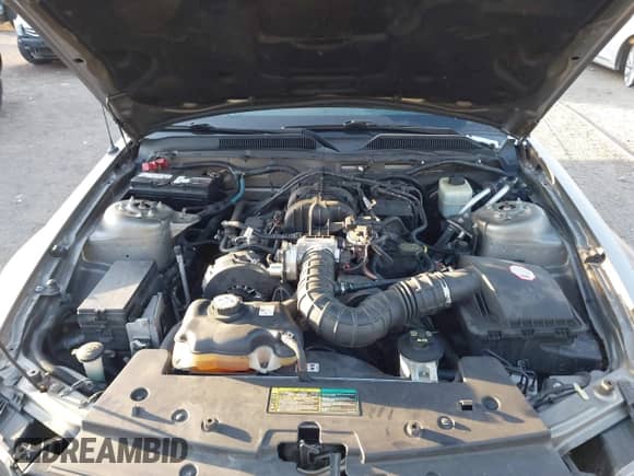 2005 Ford Mustang Deluxe with VIN 1ZVFT80N855119319, listed as a IAAI auction lot 43340661 with 106,385 mi miles and . Bid and sale history available at DreamBid. Image 10.