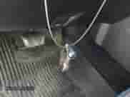 2021 Ram 1500 Lone Star z VIN 1C6RREFT4MN708750, wystawiony jako IAAI lot #41762032 z przebiegiem 100 337 mil mil oraz . Historia ofert i sprzedaży dostępna na DreamBid. Obrazek 11.