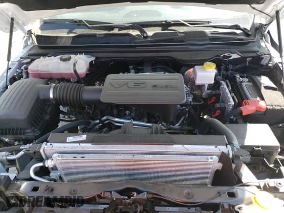 2024 Ram 1500 Tradesman z VIN 1C6SRECG3RN194874, wystawiony jako Copart lot #69112194 z przebiegiem 6 304 mil mil oraz Szkoda całkowita • Salvage title. Historia ofert i sprzedaży dostępna na DreamBid. Obrazek 11.