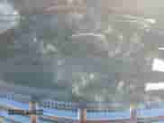 2009 Cadillac Escalade with VIN 1GYFK23229R211846, listed as a Copart auction lot 57988185 with 150,758 mi miles and Salvage title. Bid and sale history available at DreamBid. Image 12.