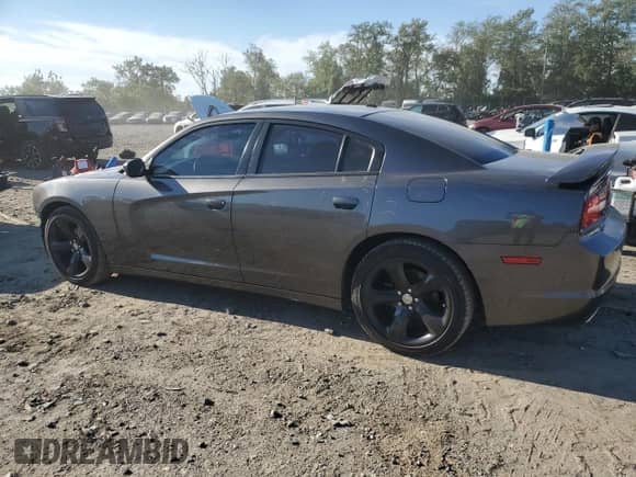 2014 Dodge Charger SXT with VIN 2C3CDXHGXEH348567, listed as a Copart auction lot 84801005 with 59,295 mi miles and Salvage title. Bid and sale history available at DreamBid. Image 2.