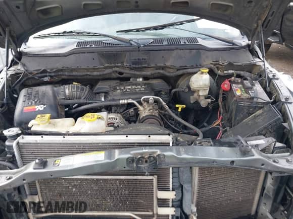 2007 Dodge 1500 SLT z VIN 3D7KR19D57G736423, wystawiony jako IAAI lot #42145607 z przebiegiem 298 274 mil mil oraz . Historia ofert i sprzedaży dostępna na DreamBid. Obrazek 10.