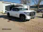 2024 Toyota Tundra SR5 with VIN 5TFLA5DA1RX185075, listed as a Copart auction lot 83707944 with 2,588 mi miles and Salvage title. Bid and sale history available at DreamBid. Image 11.