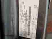 2017 Ford F-150 XL с VIN 1FTEW1CP6HKD68959, выставлен на аукционе Copart как лот 80271045 с пробегом 128 542 миль миль и Чистый • Clean title. История ставок и продаж доступна на DreamBid. Изображение 12.