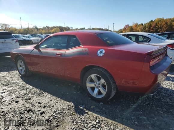 2009 Dodge Challenger R/T with VIN 2B3LJ54T69H510133, listed as a Copart auction lot 87464485 with 116,065 mi miles and Clean title. Bid and sale history available at DreamBid. Image 2.