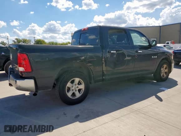 2010 Dodge 1500 TRX with VIN 1D7RB1CP9AS206283, listed as a Copart auction lot 82197005 with 140,887 mi miles and Salvage title. Bid and sale history available at DreamBid. Image 3.