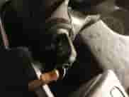 2019 Ram ProMaster Cargo с VIN 3C6URVJGXKE513712, выставлен на аукционе IAAI как лот 41564257 с пробегом Не указан миль и . История ставок и продаж доступна на DreamBid. Изображение 11.