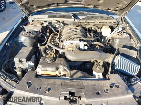 2008 Ford Mustang GT Deluxe с VIN 1ZVHT82H585185332, выставлен на аукционе IAAI как лот 43395236 с пробегом 158 639 миль миль и . История ставок и продаж доступна на DreamBid. Изображение 10.