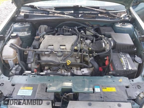 1998 Chevrolet Malibu LS с VIN 1G1NE52M2WY190553, выставлен на аукционе IAAI как лот 42388676 с пробегом 206 227 миль миль и . История ставок и продаж доступна на DreamBid. Изображение 10.