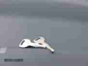 1990 Honda Accord with VIN 1HGCB7659LA069028, listed as a IAAI auction lot 42686692 with 175,324 mi miles and . Bid and sale history available at DreamBid. Image 11.