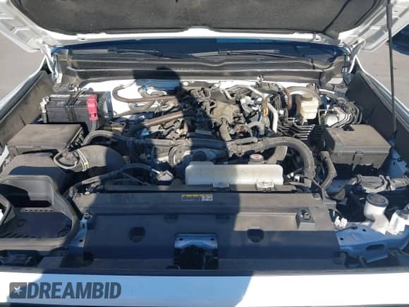 2024 Toyota Tacoma SR5 with VIN 3TMLB5JN8RM034034, listed as a IAAI auction lot 41253779 with 21,448 mi miles and . Bid and sale history available at DreamBid. Image 10.