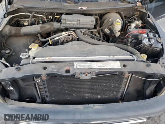 1999 Dodge 1500 with VIN 3B7HF12Y2XG217288, listed as a Copart auction lot 79251774 with 135,893 mi miles and Clean title. Bid and sale history available at DreamBid. Image 11.