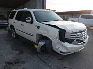 2009 Cadillac Escalade with VIN 1GYFC23229R273227, listed as a IAAI auction lot 41071598 with 132,263 mi miles and . Bid and sale history available at DreamBid. Image 1.