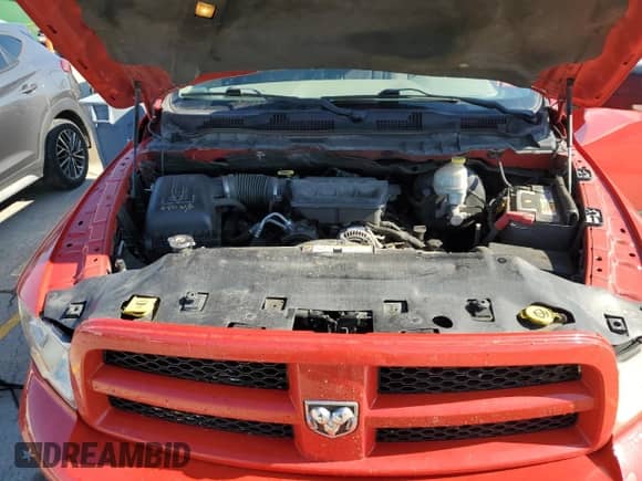 2010 Dodge 1500 SLT с VIN 1D7RV1CP8AS170464, выставлен на аукционе Copart как лот 55245485 с пробегом 346 493 миль миль и Списание • Salvage title. История ставок и продаж доступна на DreamBid. Изображение 11.