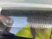 1998 GMC Sierra 1500 with VIN 1GTEC14W8WZ544249, listed as a IAAI auction lot 42477120 with 222,101 mi miles and . Bid and sale history available at DreamBid. Image 9.