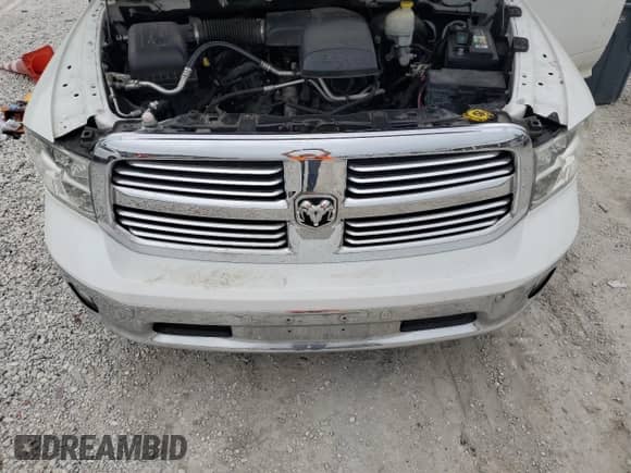2016 Ram 1500 Outdoorsman with VIN 1C6RR7LG3GS205512, listed as a Copart auction lot 85718725 with 156,264 mi miles and Clean title. Bid and sale history available at DreamBid. Image 11.