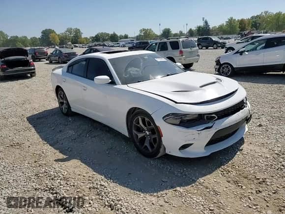 2016 Dodge Charger SE z VIN 2C3CDXBG9GH115520, wystawiony jako Copart lot #81530295 z przebiegiem 102 956 mil mil oraz Szkoda całkowita • Salvage title. Historia ofert i sprzedaży dostępna na DreamBid. Obrazek 13.