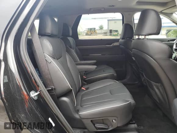 2025 Hyundai Palisade XRT with VIN KM8R3DGE0SU834851, listed as a Copart auction lot 69666385 with 132 mi miles and Salvage title. Bid and sale history available at DreamBid. Image 11.