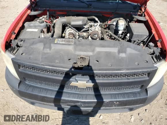2008 Chevrolet Silverado 1500 Work Truck with VIN 1GCEC14X08Z246404, listed as a Copart auction lot 70037405 with 173,696 mi miles and Salvage title. Bid and sale history available at DreamBid. Image 11.