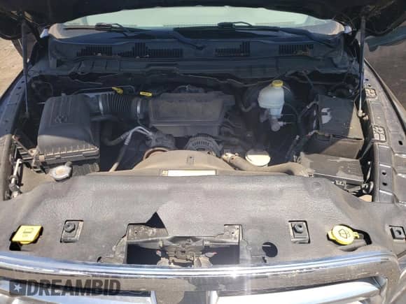 2010 Dodge 1500 SLT с VIN 1D7RV1CP4AS119818, выставлен на аукционе Copart как лот 61696365 с пробегом 97 312 миль миль и На запчасти • Non repairable. История ставок и продаж доступна на DreamBid. Изображение 11.