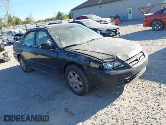 2002 Honda Accord EX with VIN 1HGCG55612A134582, listed as a IAAI auction lot 43419576 with 344,066 mi miles and . Bid and sale history available at DreamBid. Image 1.