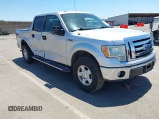 2010 Ford F-150 XL with VIN 1FTEW1E83AFD81219, listed as a IAAI auction lot 42333643 with 171,071 mi miles and . Bid and sale history available at DreamBid. Image 1.