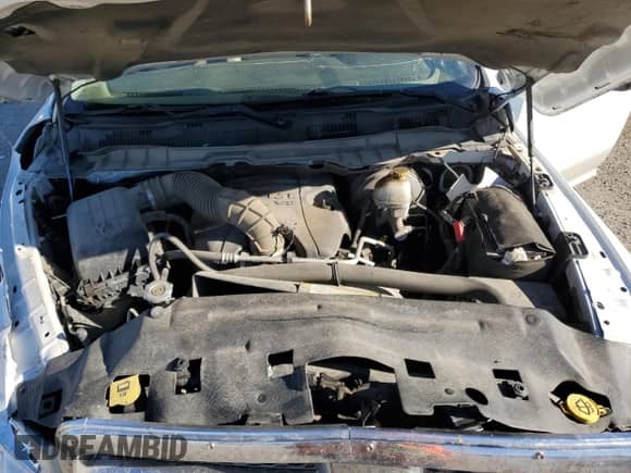 2010 Dodge 1500 Laramie с VIN 1D7RV1CT0AS220089, выставлен на аукционе Copart как лот 73010134 с пробегом 337 312 миль миль и Списание • Salvage title. История ставок и продаж доступна на DreamBid. Изображение 11.