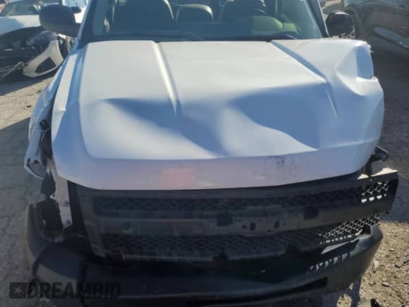 2009 Chevrolet Silverado 1500 Work Truck with VIN 1GCEC14X99Z212382, listed as a Copart auction lot 80115364 with Not provided miles and Salvage title. Bid and sale history available at DreamBid. Image 11.