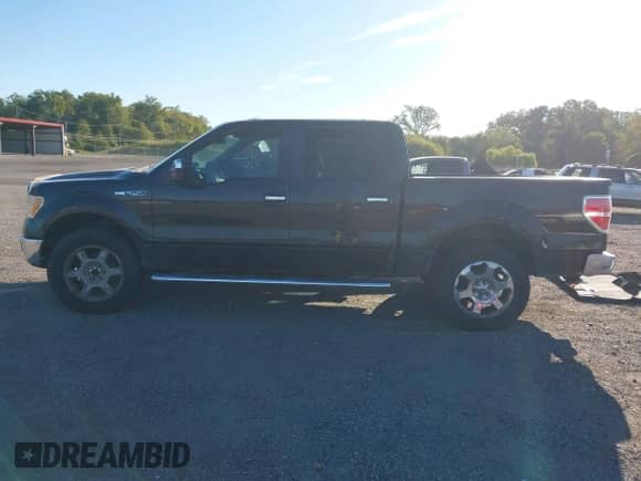 2010 Ford F-150 XL с VIN 1FTFW1EV1AFC99354, выставлен на аукционе IAAI как лот 43342858 с пробегом 277 310 миль миль и . История ставок и продаж доступна на DreamBid. Изображение 13.