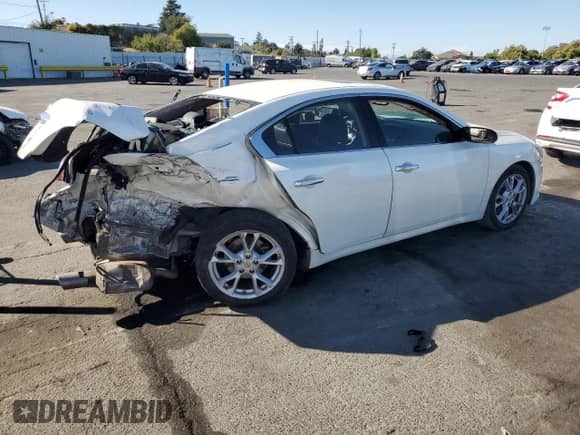 2013 Nissan Maxima SV with VIN 1N4AA5AP8DC840242, listed as a Copart auction lot 67394865 with 175,961 mi miles and Salvage title. Bid and sale history available at DreamBid. Image 3.